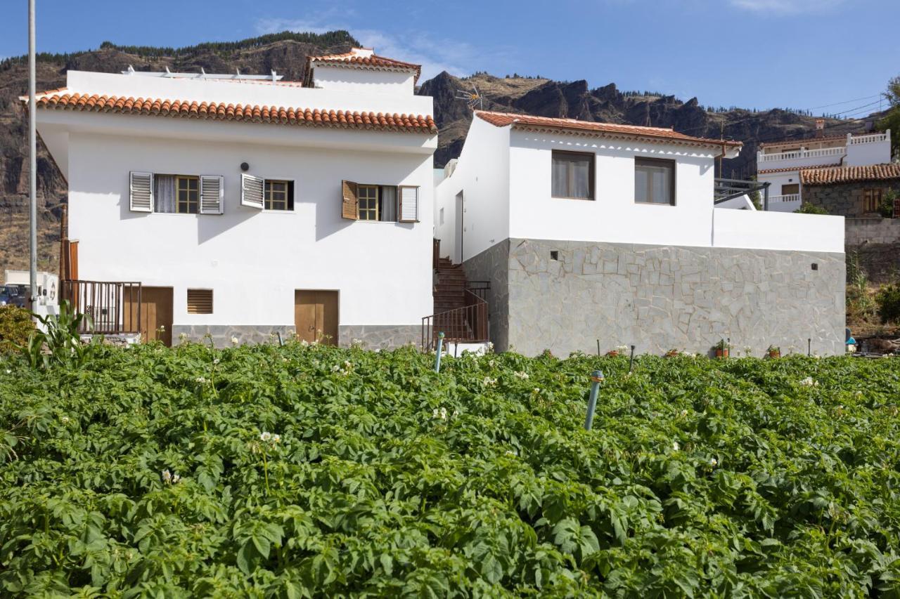 Casa Isabela With Roque Nublo View Daire Tejeda  Dış mekan fotoğraf